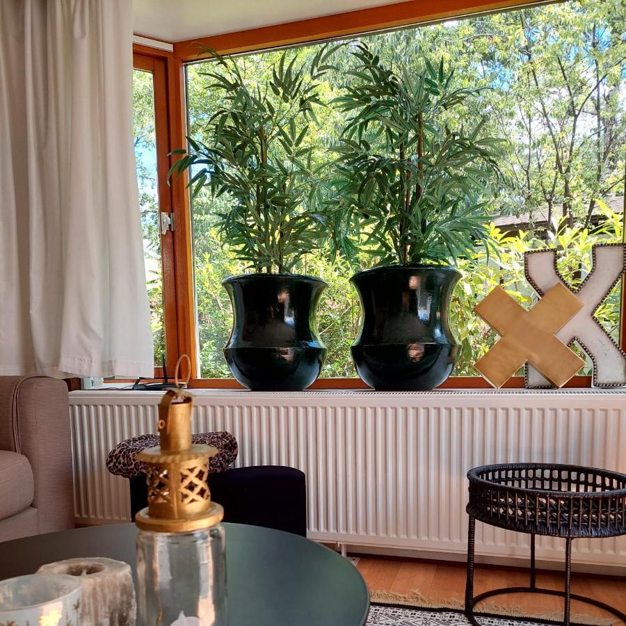 Heerlijk Chalet In Prachtige Natuur. Doornspijk Bagian luar foto